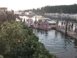 San Juan Islands Cruise Guide